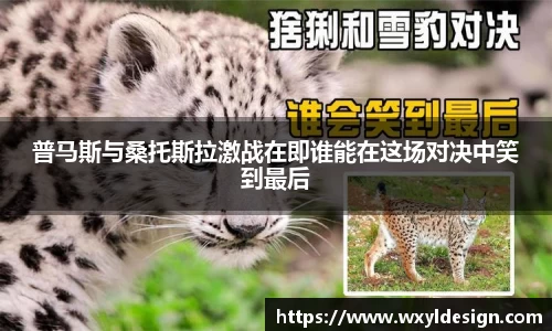 EMC易倍体育官方网站